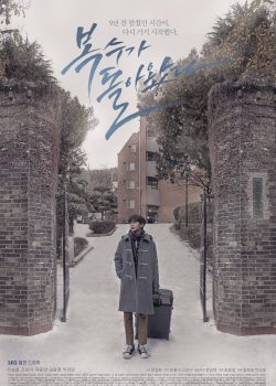 Poster Phim Người Hùng Kỳ Lạ Của Tôi / Bok Soo Trở Lại (My Strange Hero / Bok-Su's Back)