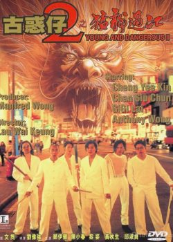 Poster Phim Người Trong Giang Hồ 2: Mãnh Long Quá Giang (Young and Dangerous 2)