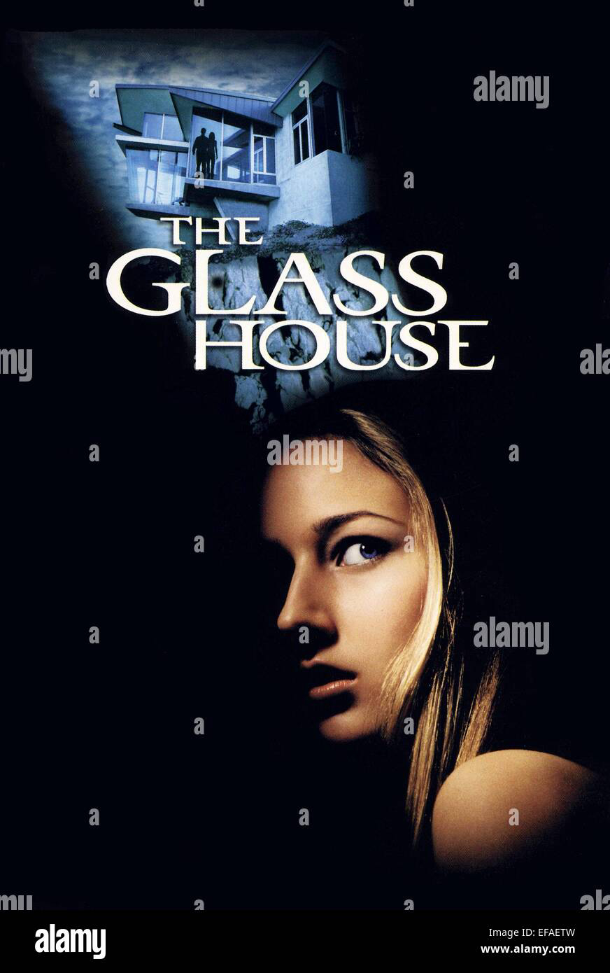 Poster Phim Nhà kính (The Glass House)