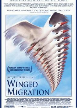 Poster Phim Những Cánh Chim Di Cư (Winged Migration)