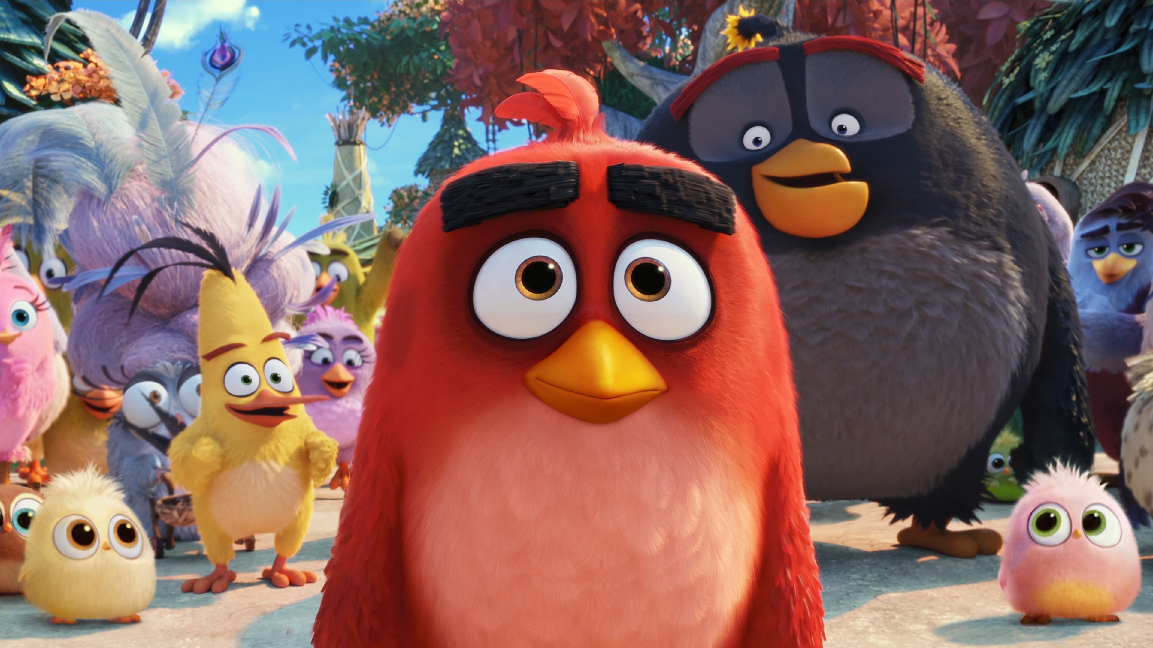 Xem Phim Những Chú Chim Giận Dữ 2 (The Angry Birds Movie 2)