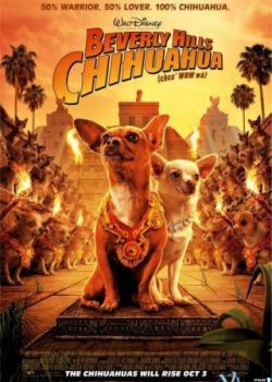 Xem Phim Những Chú Chó Chihuahua Ở Đồi Beverly 1 (Beverly Hills Chihuahua I)
