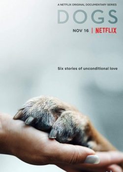 Poster Phim Những Chú Chó Phần 1 (Dogs)