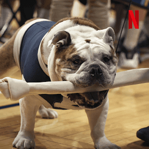 Xem Phim Những chú chó (Phần 2) (Dogs (Season 2) )