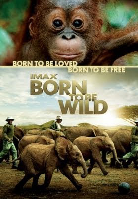 Poster Phim Những Loài Vật Mồ Côi (Born to Be Wild)