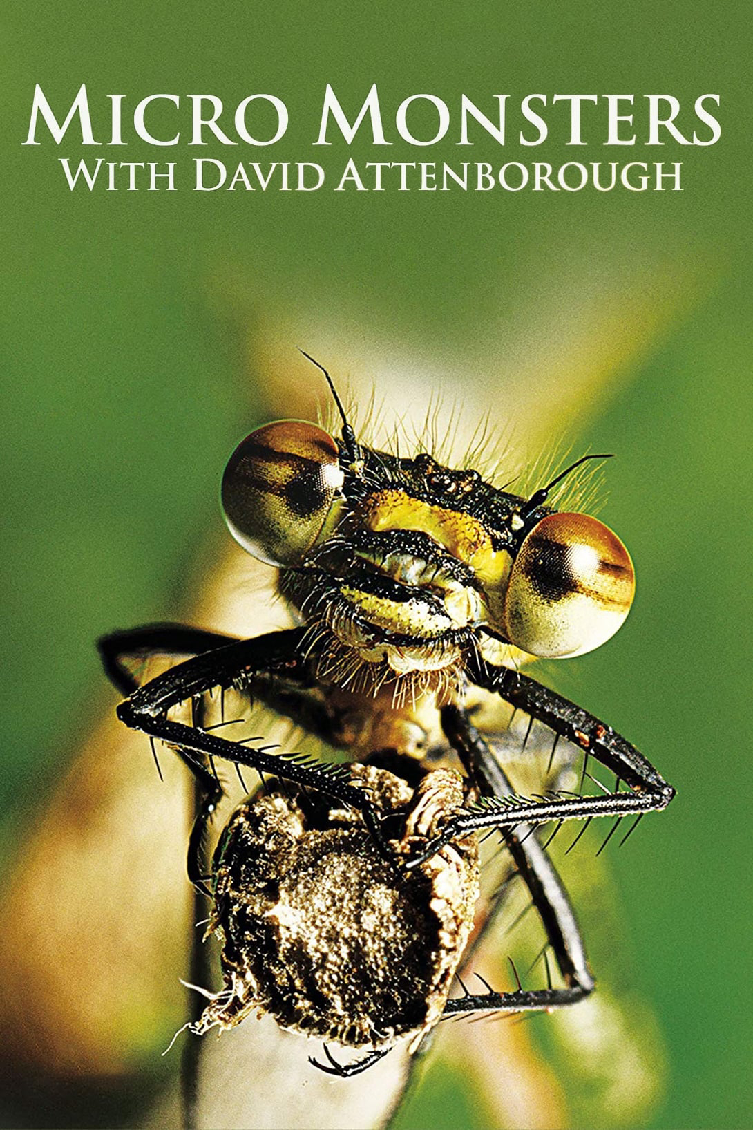 Xem Phim Những Quái Vật Tý Hon (Micro Monsters)