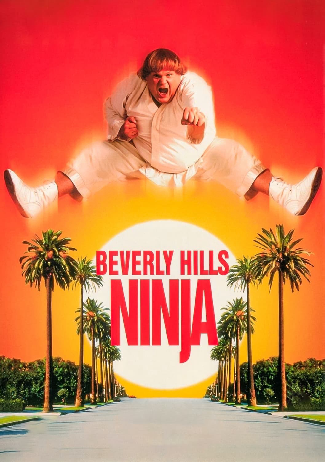 Poster Phim Ninja Béo Ù (Beverly Hills Ninja)