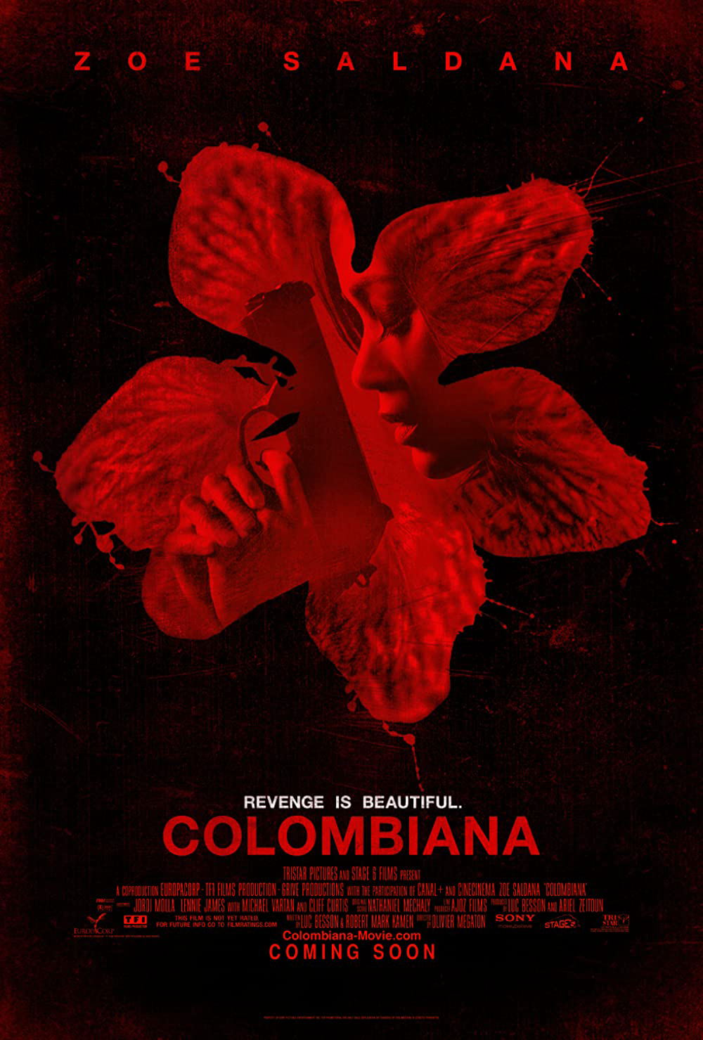 Poster Phim Nữ sát thủ Colombiana (Colombiana)