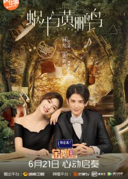 Poster Phim Ốc Sên Và Chim Vàng Anh (Symphony's Romance)