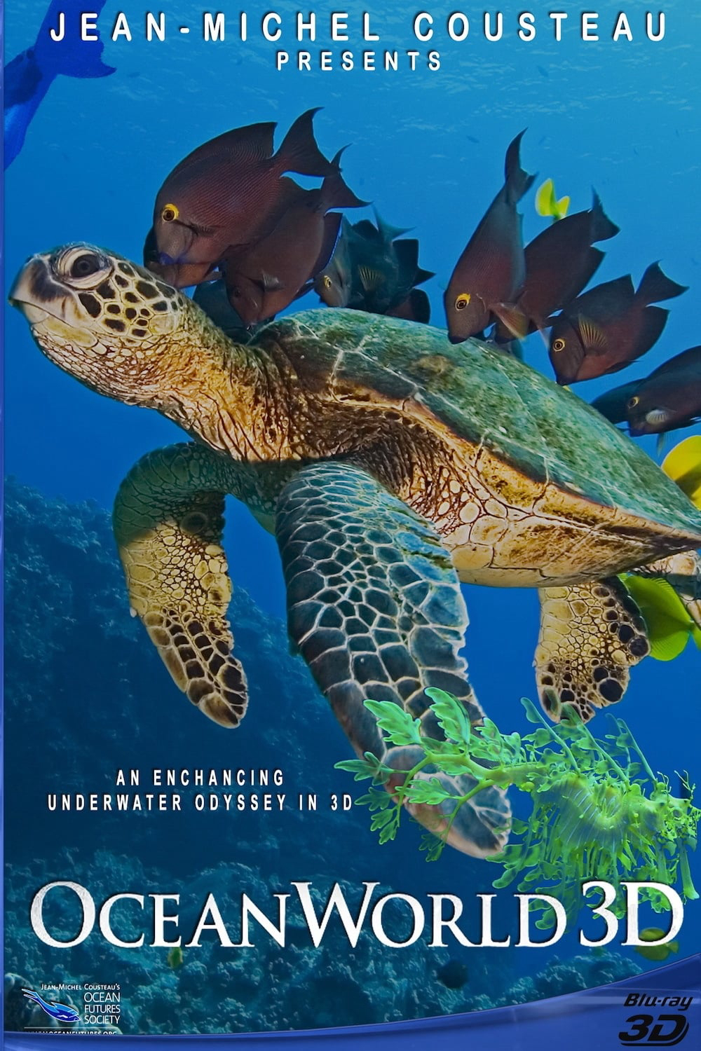 Poster Phim OceanWorld 3D (OceanWorld 3D)