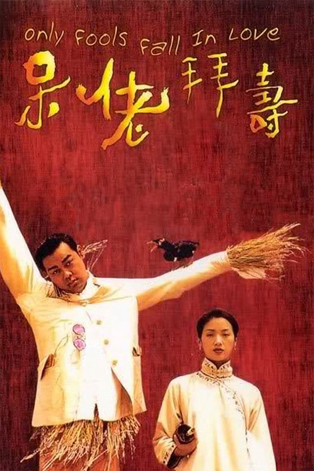 Poster Phim Only Fools Fall in Love (Only Fools Fall in Love)