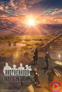 Poster Phim Brotherhood: Final Fantasy XV (BROTHERHOOD FINAL FANTASY XV)
