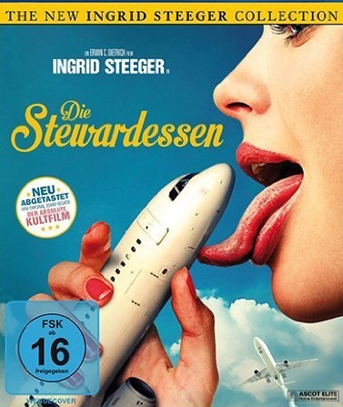 Poster Phim Bản Báo Cáo Đặc Biệt (Stewardesses Report)