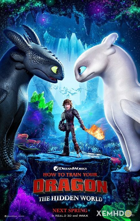 Poster Phim Bí Kíp Luyện Rồng 3: Vùng Đất Bí Ẩn (How To Train Your Dragon 3: The Hidden World)
