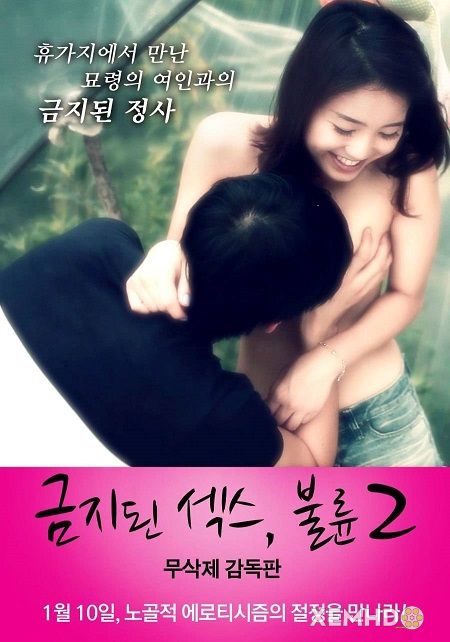 Poster Phim Cảm Giác Ngoại Tình 2 (Forbidden Sex Adultery 2)