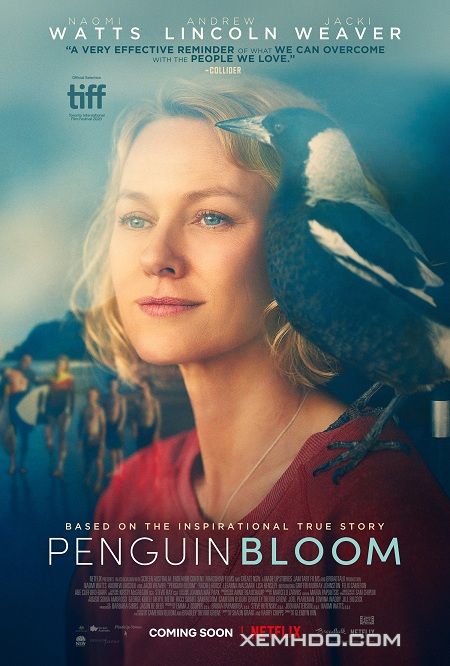 Poster Phim Cánh Cụt Nhà Bloom (Penguin Bloom)