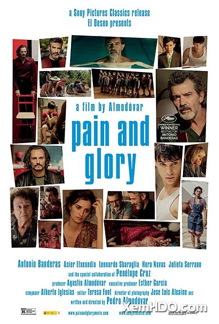 Poster Phim Đau Đớn Và Vinh Quang (Pain And Glory)