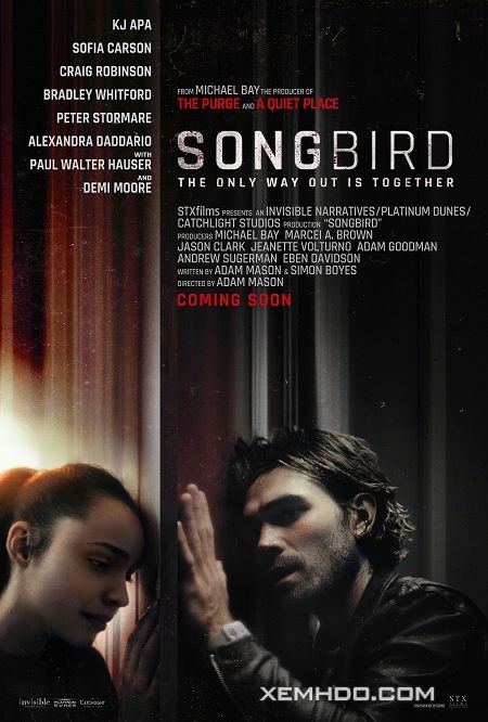 Poster Phim Giữa Tâm Dịch (Songbird)