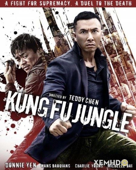 Xem Phim Kế Hoạch Bí Ẩn (sát Quyền) (Kung Fu Jungle)