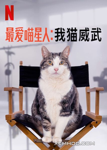 Poster Phim Kitty Love: Mèo Cưng Nhà Mình (Kitty Love: An Homage To Cats)