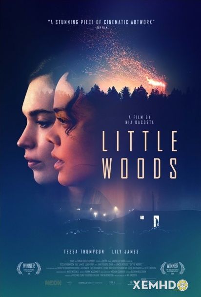 Poster Phim Lằn Ranh Số Phận (Little Woods)