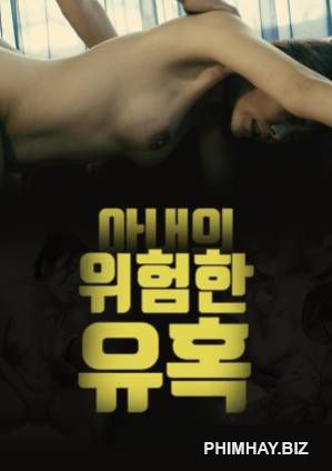Poster Phim Người Vợ Quyến Rũ (Dangerous Seduction Of His Wife)