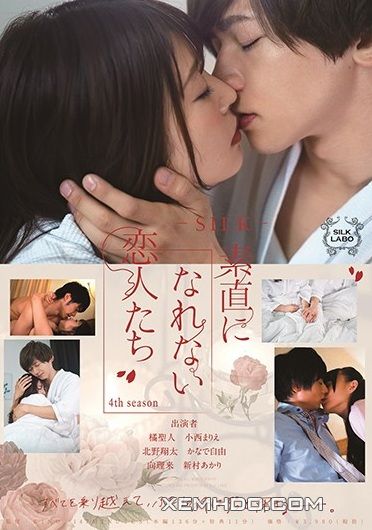 Poster Phim Những Người Yêu Không Thành Thật (phần 4) (Silk 132 Lovers Who Can Not Be Honest 4th Season)