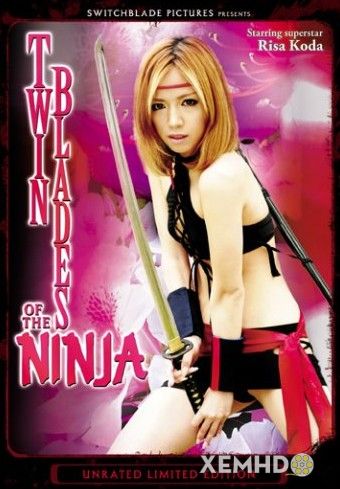 Poster Phim Song Kiếm Của Ninja (Twin Blades Of The Ninja)
