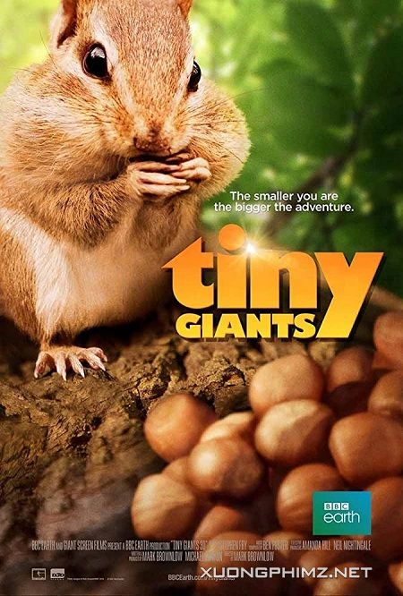 Poster Phim Thiên Nhiên Kì Thú (Tiny Giants 3d)