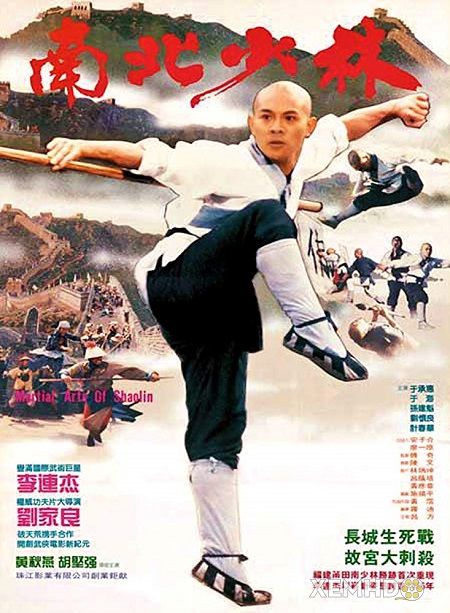 Poster Phim Thiếu Lâm Tự 3: Thiếu Lâm Quyền Cước (Martial Arts Of Shaolin)