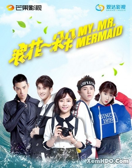 Poster Phim Từng Cơn Sóng Vỗ / Từng Đóa Bọt Sóng (My Mr. Mermaid)
