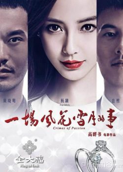 Poster Phim Phong Hoa Tuyết Nguyệt (Crimes of Passion A Sentimental Story)