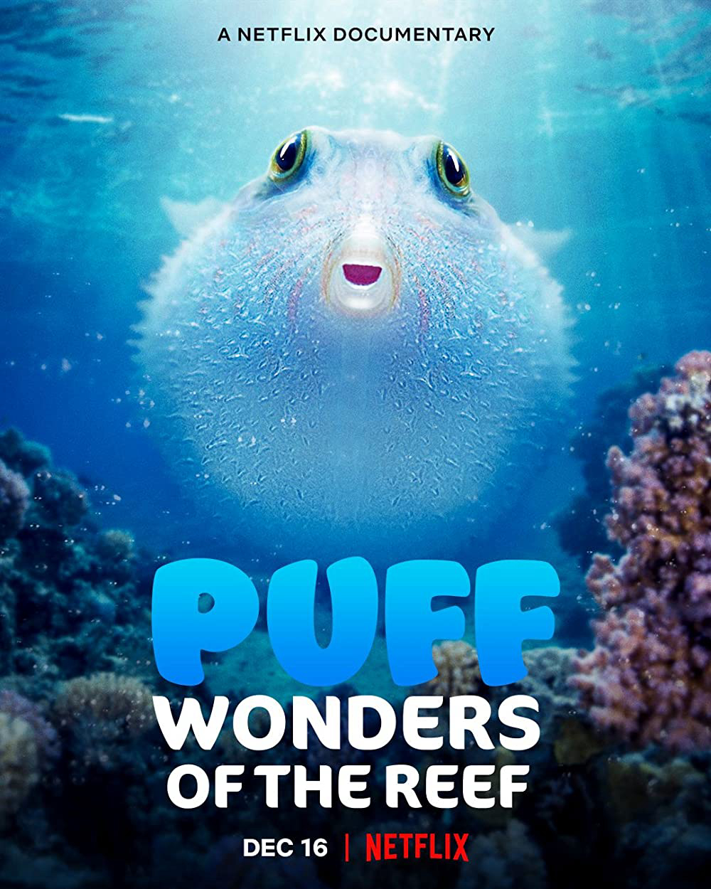 Xem Phim Puff: Rạn san hô kỳ diệu (Puff: Wonders of the Reef)