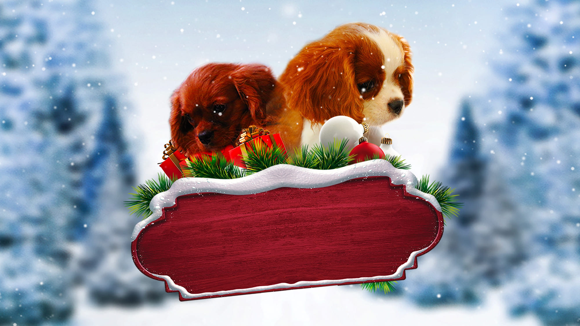 Poster Phim Quà Giáng Sinh Bất Ngờ (Project: Puppies for Christmas)