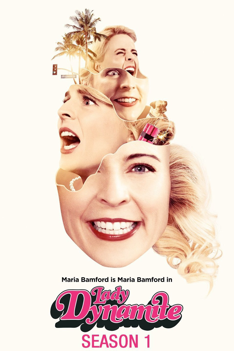 Poster Phim Quý cô năng nổ (Phần 1) (Lady Dynamite (Season 1))