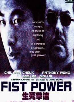 Poster Phim Quyền lực nắm đấm (Fist Power)