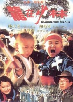 Poster Phim Rồng Thiếu Lâm (Dragon in Shaolin)