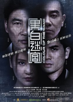 Poster Phim Sắc Màu Cuộc Chiến (Color of The Game)