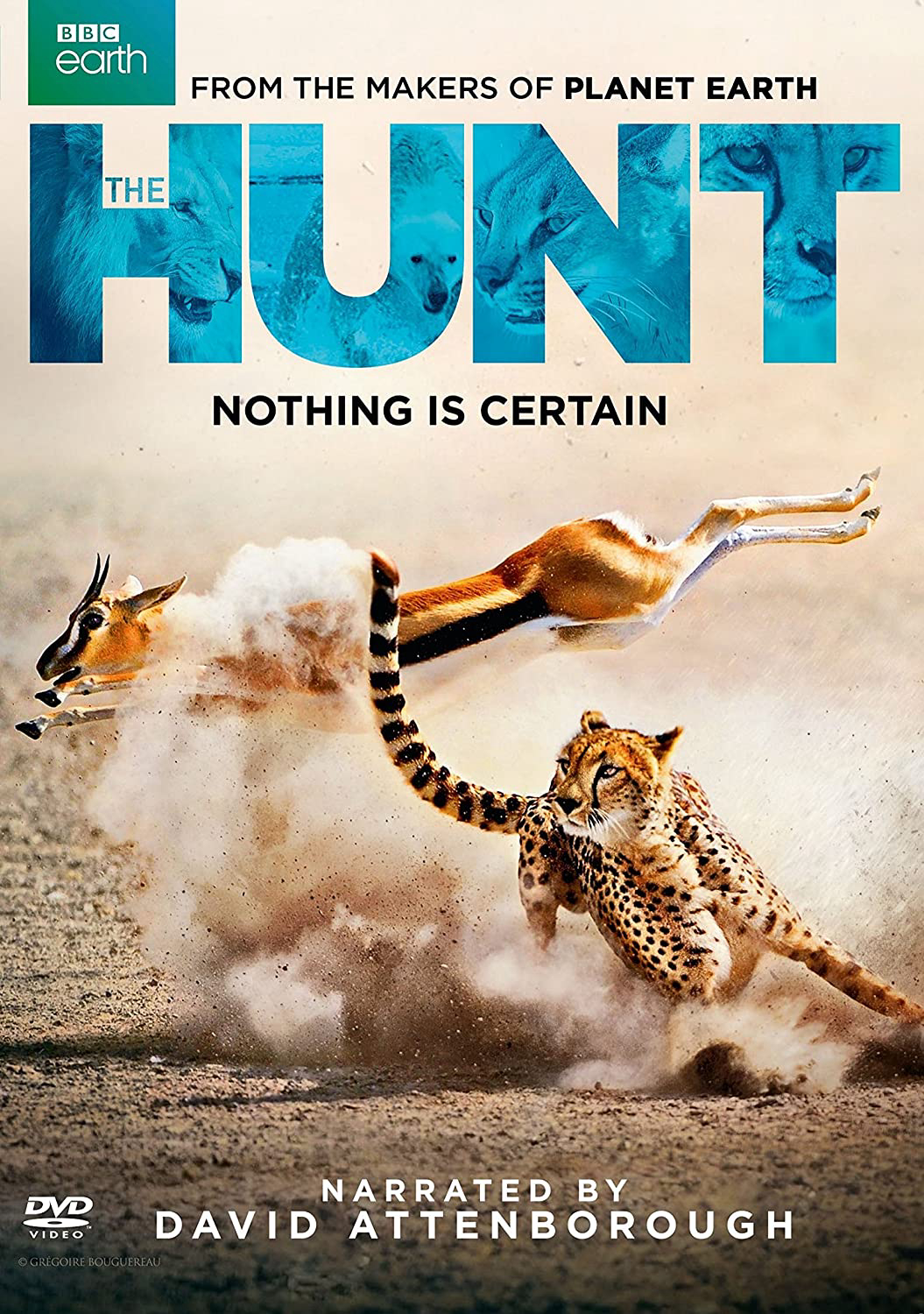 Poster Phim Săn Mồi (BBC: The Hunt)