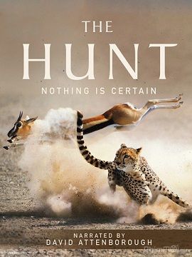 Poster Phim Săn Mồi (The Hunt)