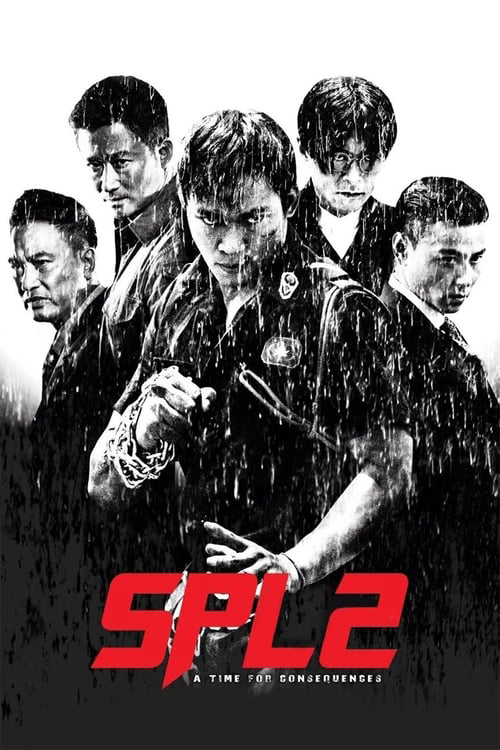 Poster Phim Sát Phá Lang 2 (SPL 2: A Time For Consequences)