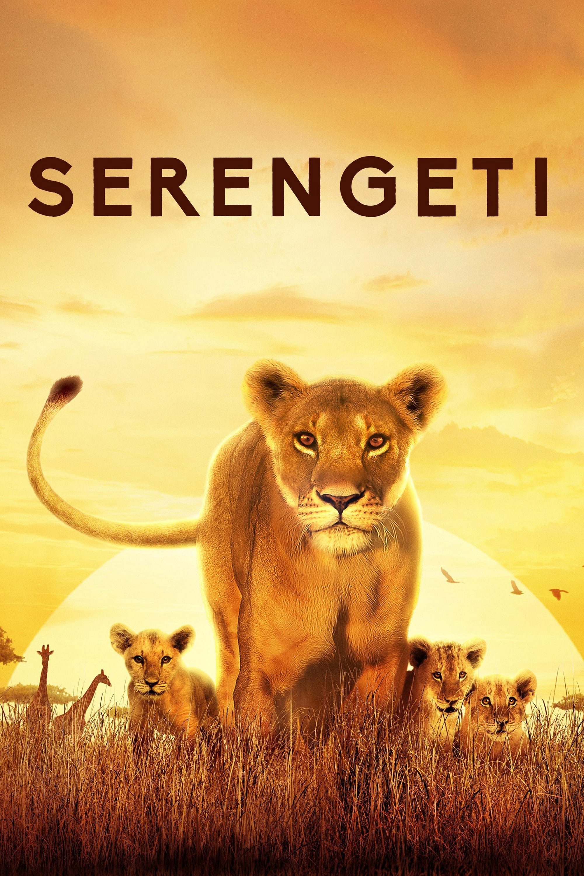 Poster Phim Serengeti (Serengeti)