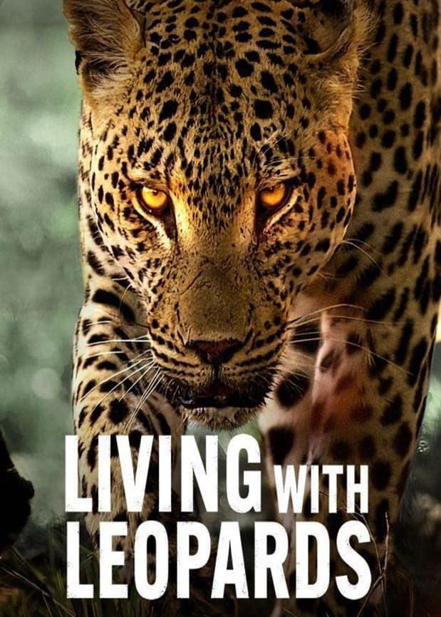 Poster Phim Sống cùng báo hoa (Living with Leopards)
