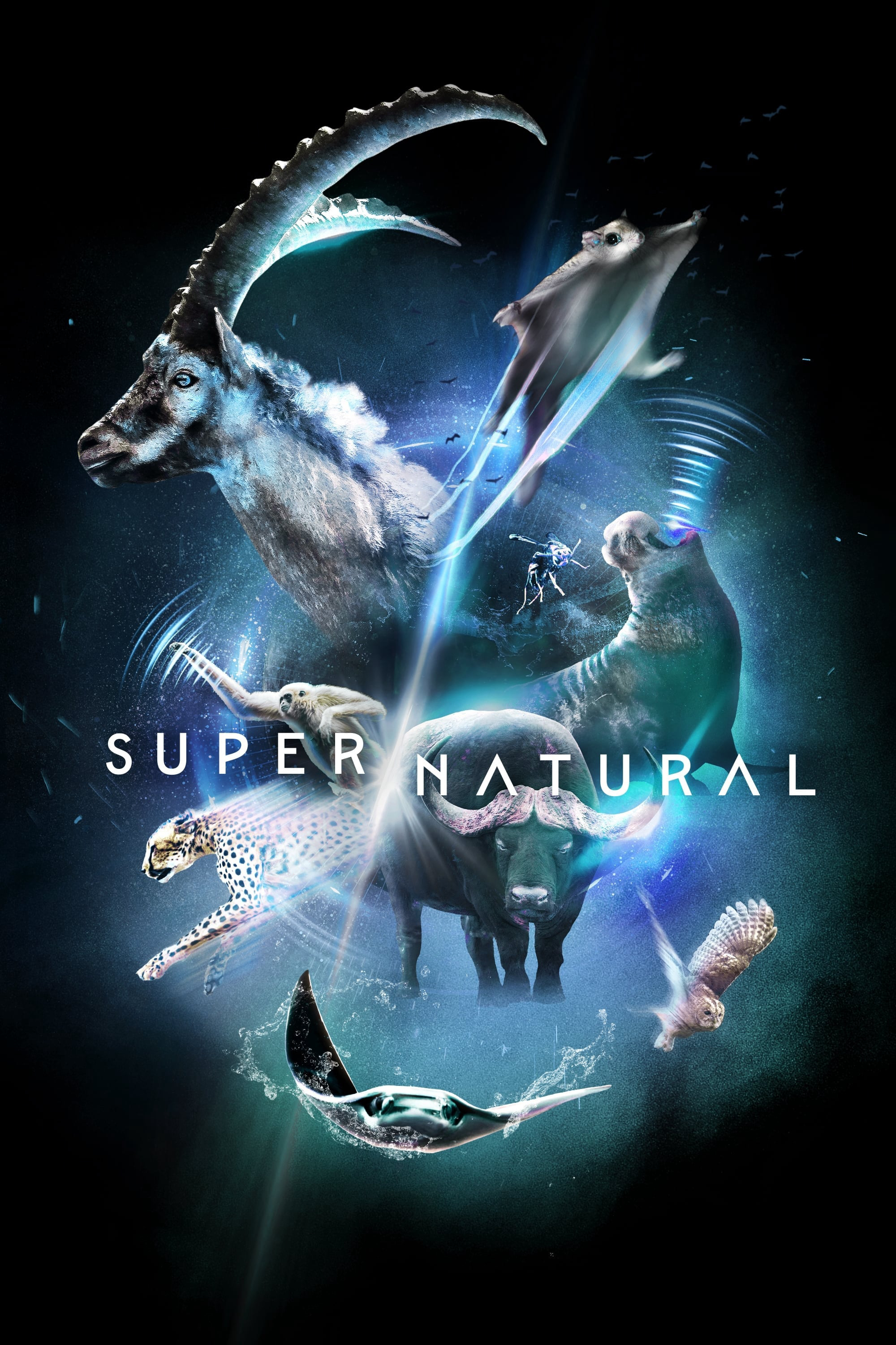 Poster Phim Super/Natural (Super/Natural)