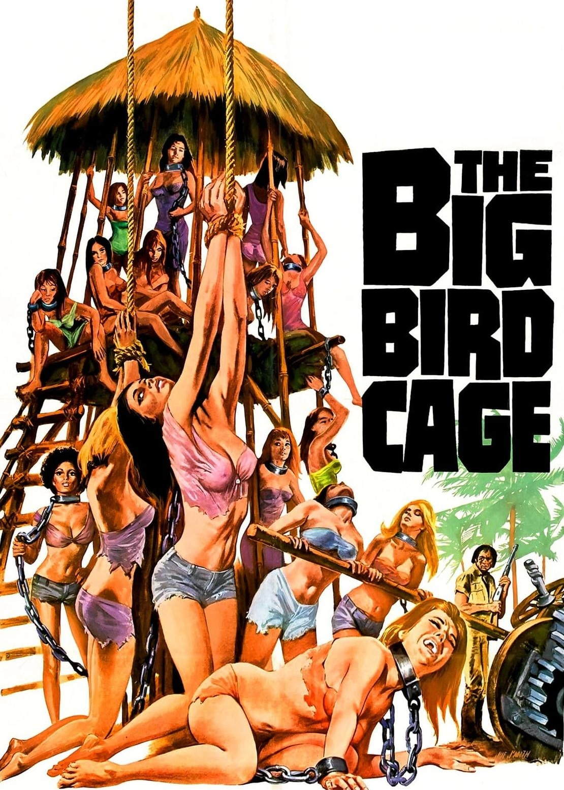 Poster Phim The Big Bird Cage (The Big Bird Cage)