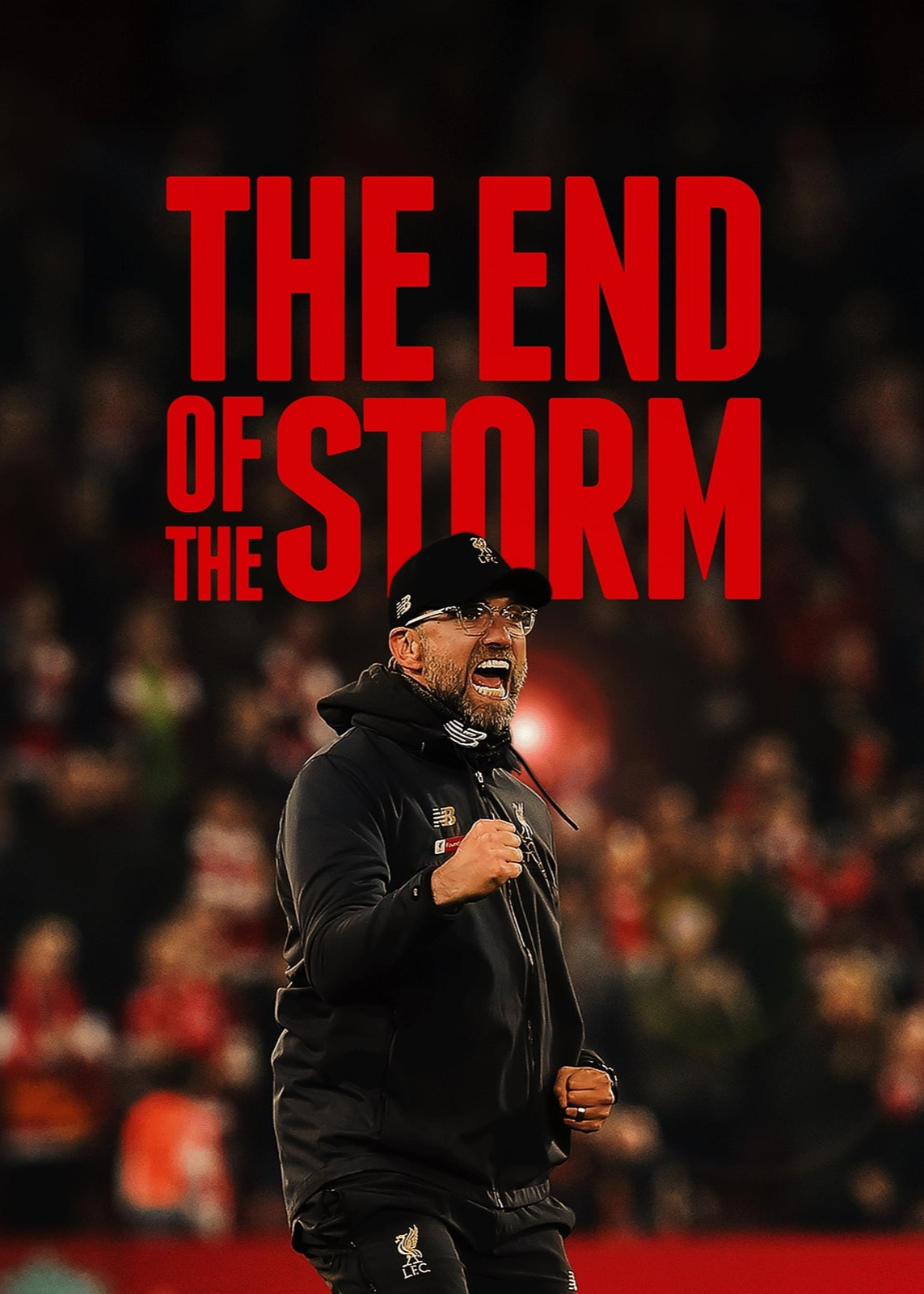Poster Phim The End of the Storm (The End of the Storm)