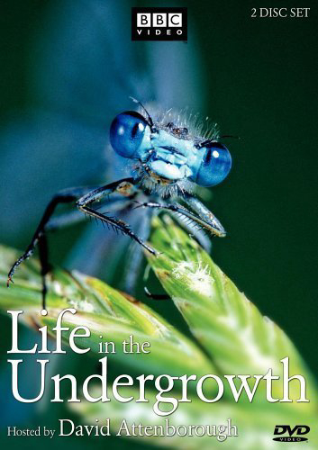 Poster Phim Thế Giới Côn Trùng (Life in The Undergrowth)