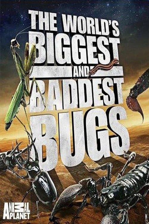 Xem Phim Thế Giới Côn Trùng Khổng Lồ và Nguy Hiểm (The World's Biggest and Baddest Bugs)