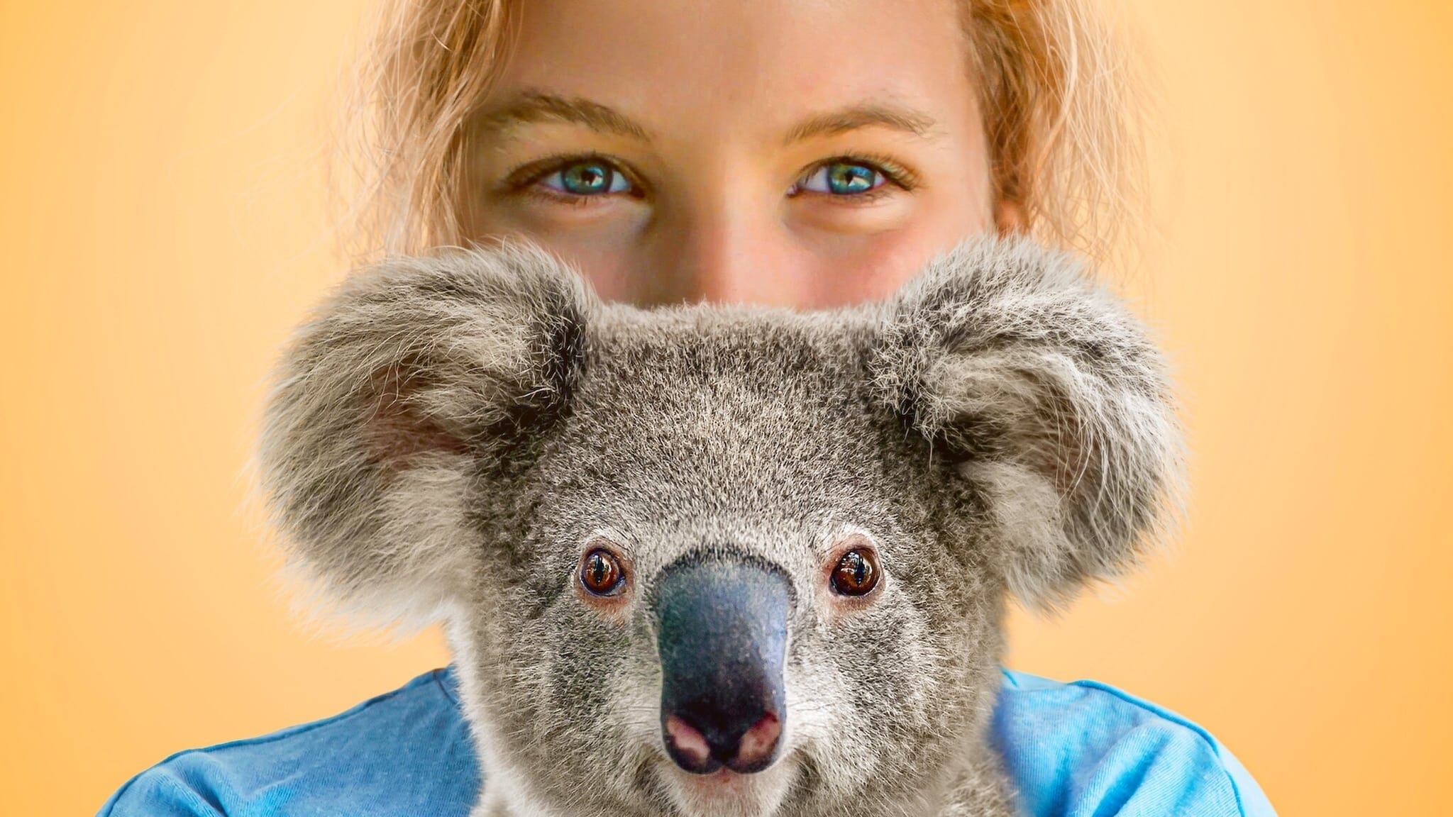 Xem Phim Thế giới gấu túi của Izzy (Phần 1) (Izzy's Koala World (Season 1))