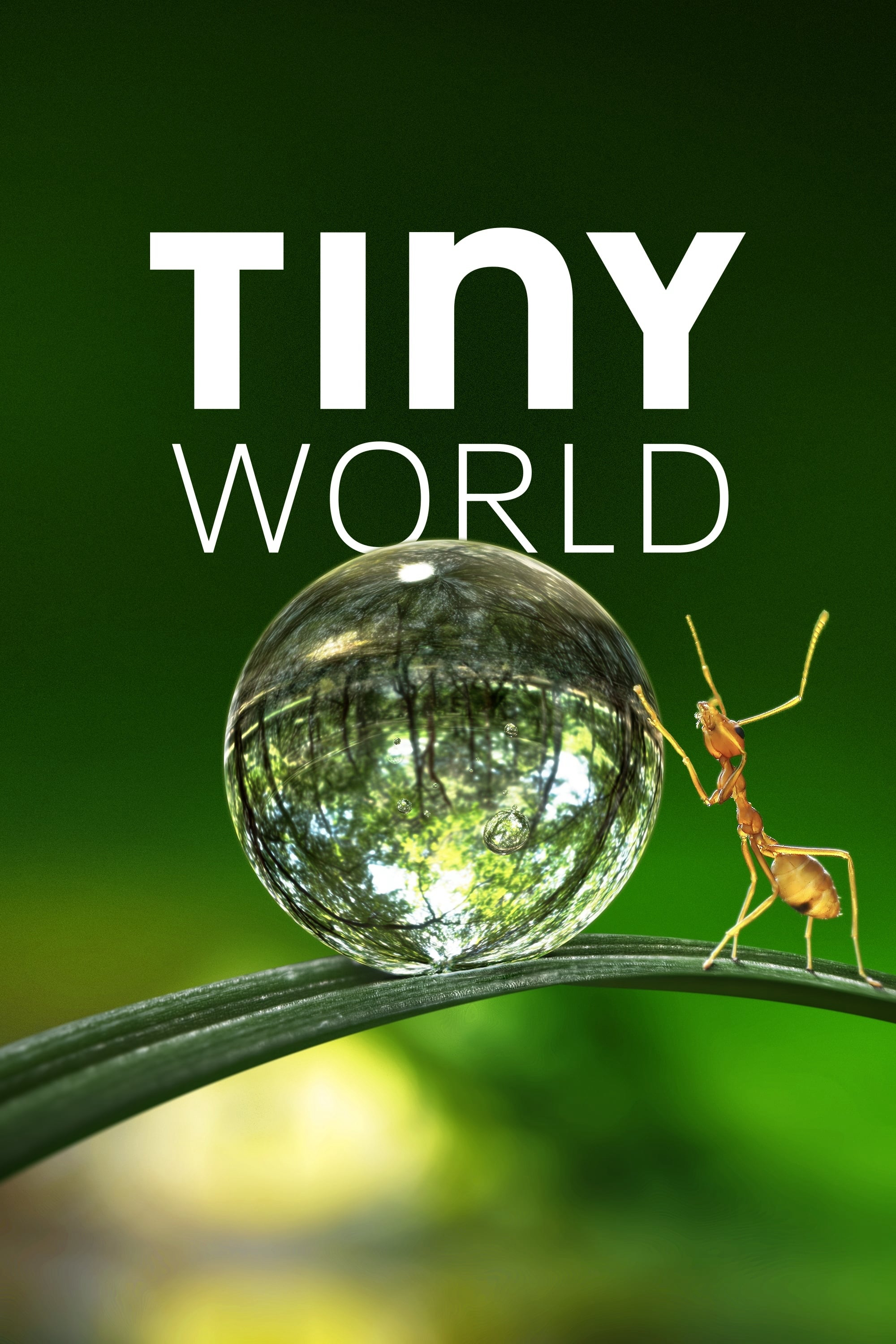 Poster Phim Thế Giới Siêu Nhỏ (Phần 1) (Tiny World (Season 1))